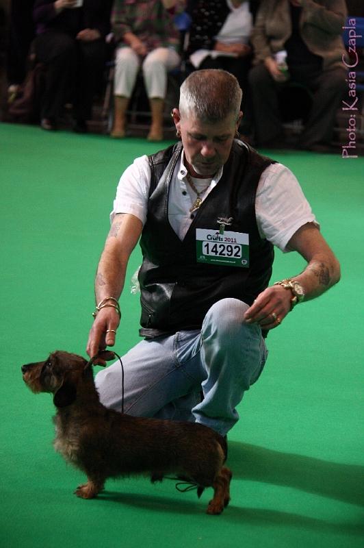 Crufts2011_2 700.jpg - ASCII